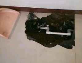 瓯海卫生间测漏水多少钱